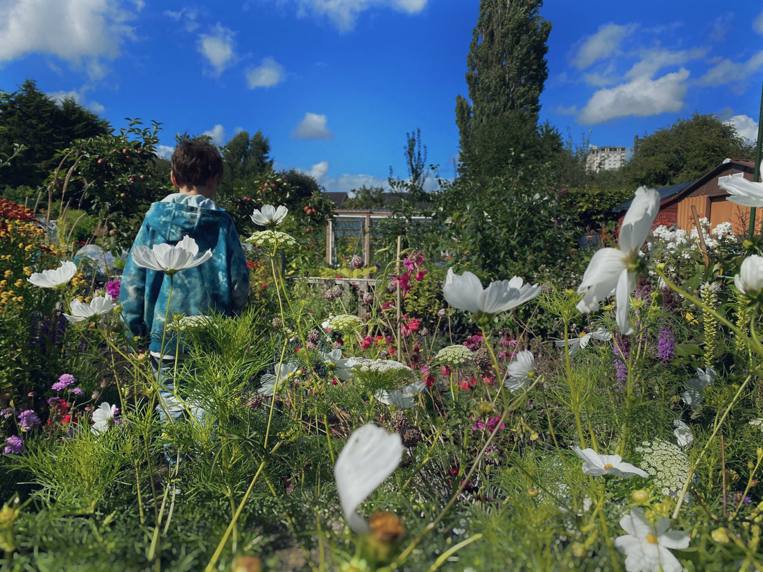 Urban Rebellion: Punk Rock Gardening